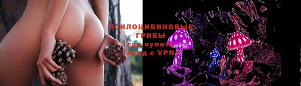 jwh Абаза